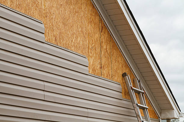 Professional Siding Repair technician working in Antioch, TN